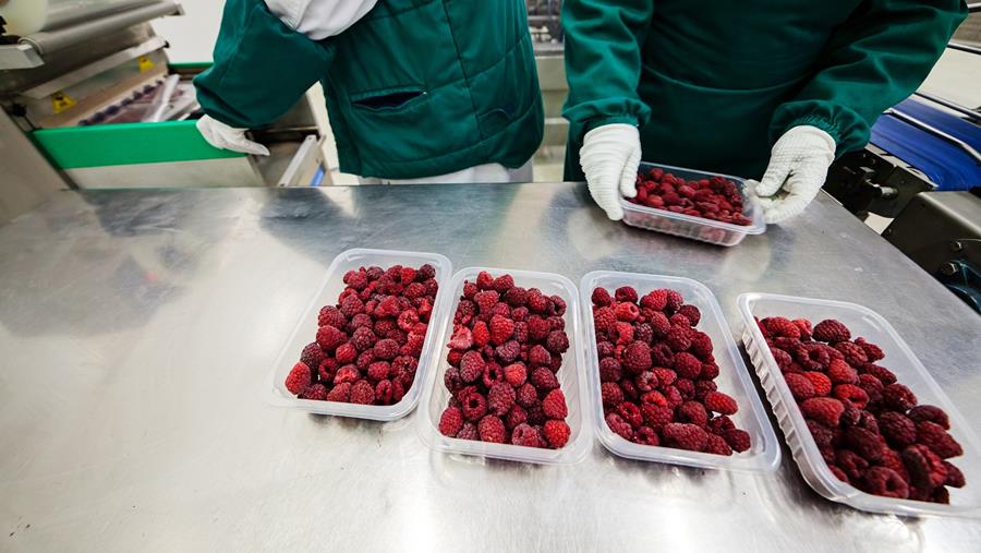 Réglementation en matière d'alimentation et d'emballage par knoell
