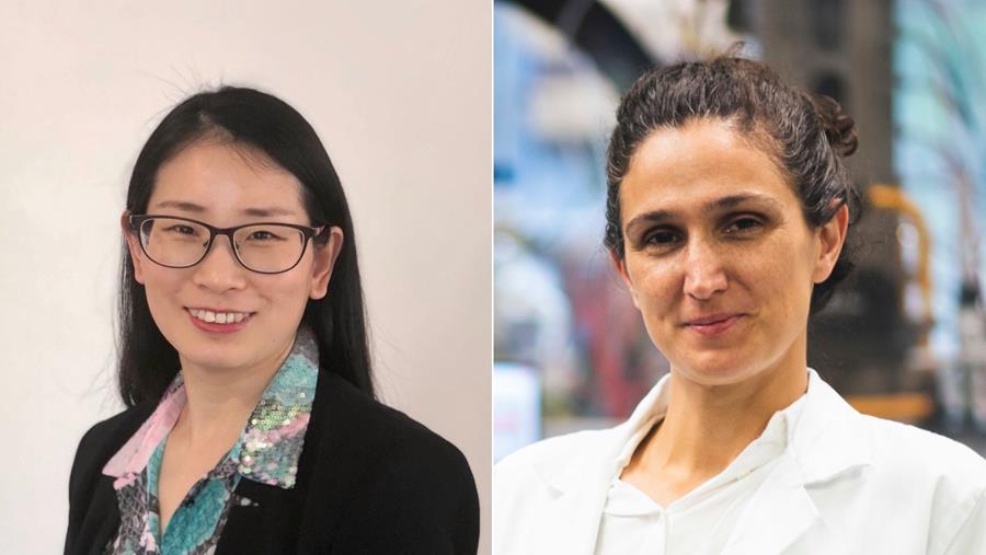 NPT board gets two new members: Fernanda Neira d’Angelo and Xiaohua Li