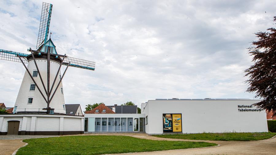 La façade du musée du tabac rafraîchie après l'apparition d'algues rouges